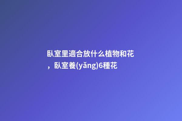 臥室里適合放什么植物和花，臥室養(yǎng)6種花-第1張-觀點(diǎn)-玄機(jī)派